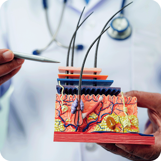 hair-loss-regenera-activa-7